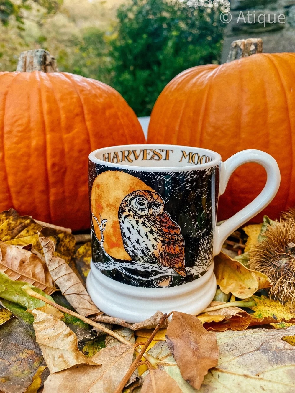 Emma Bridgewater Harvest Moon Owl Ceramic Mug - rare- like new